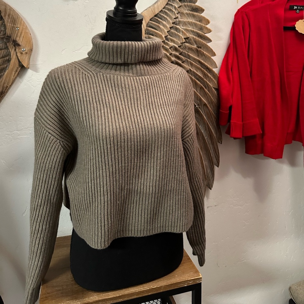 Turtleneck sweater 
NWT